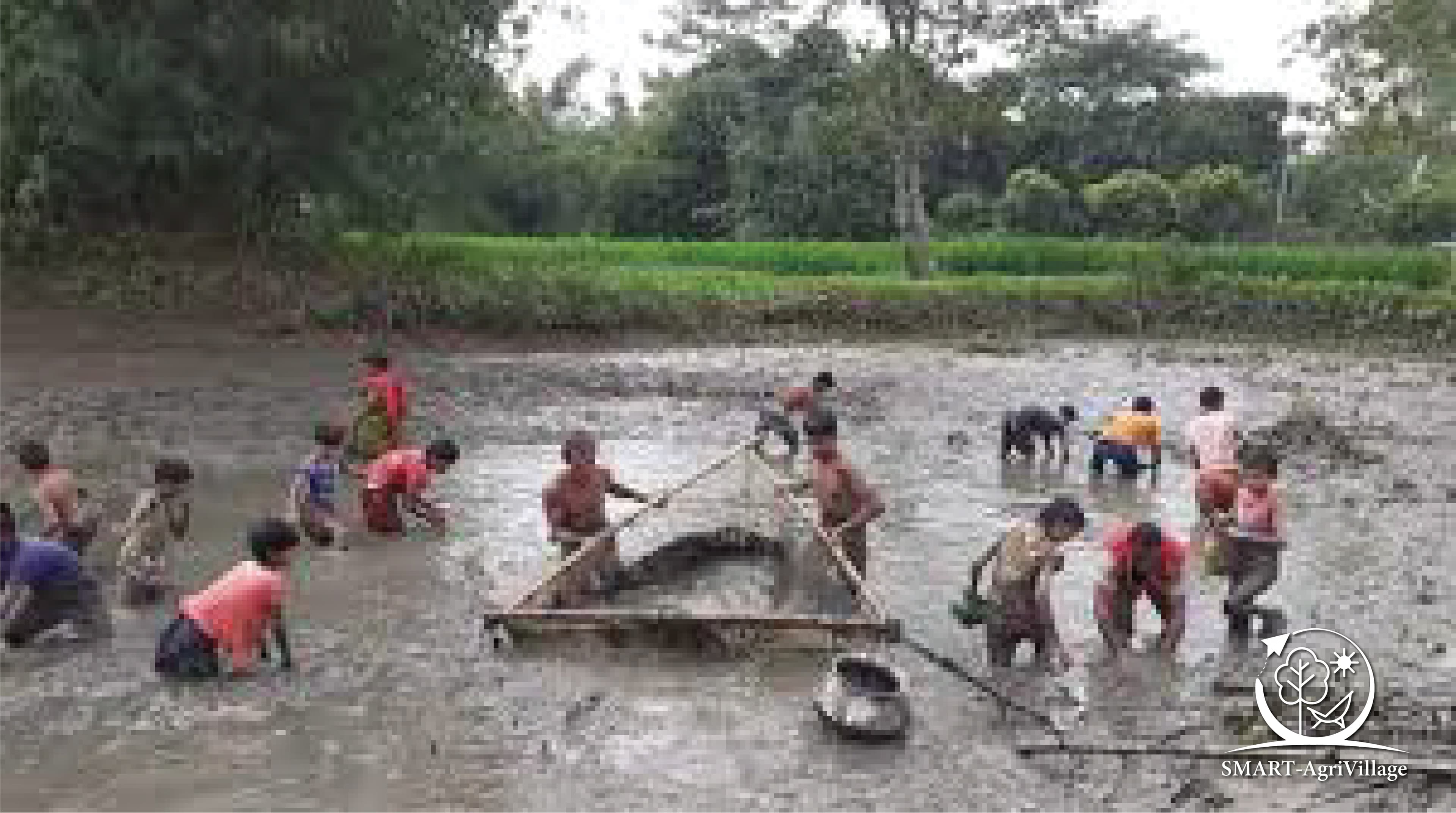 মাছ ধরার উৎসব (Fishing Festival)