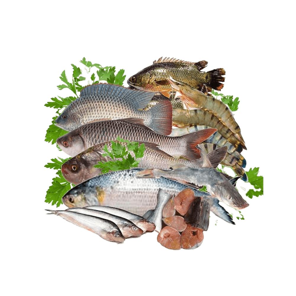 Fresh Fish Mixed Box (Rui, Catla, Mrigel, Silver Carp and Grass Carp