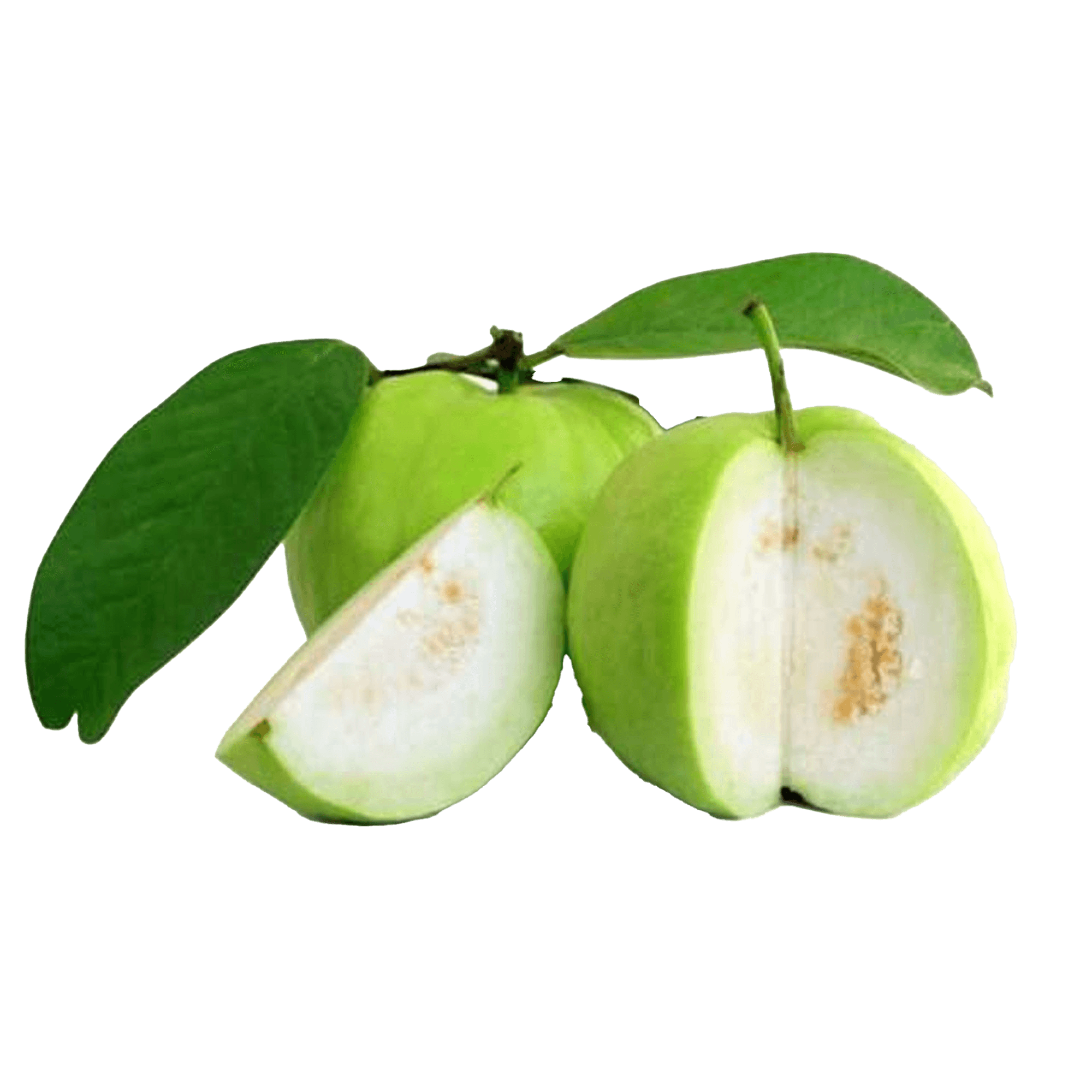 Guava