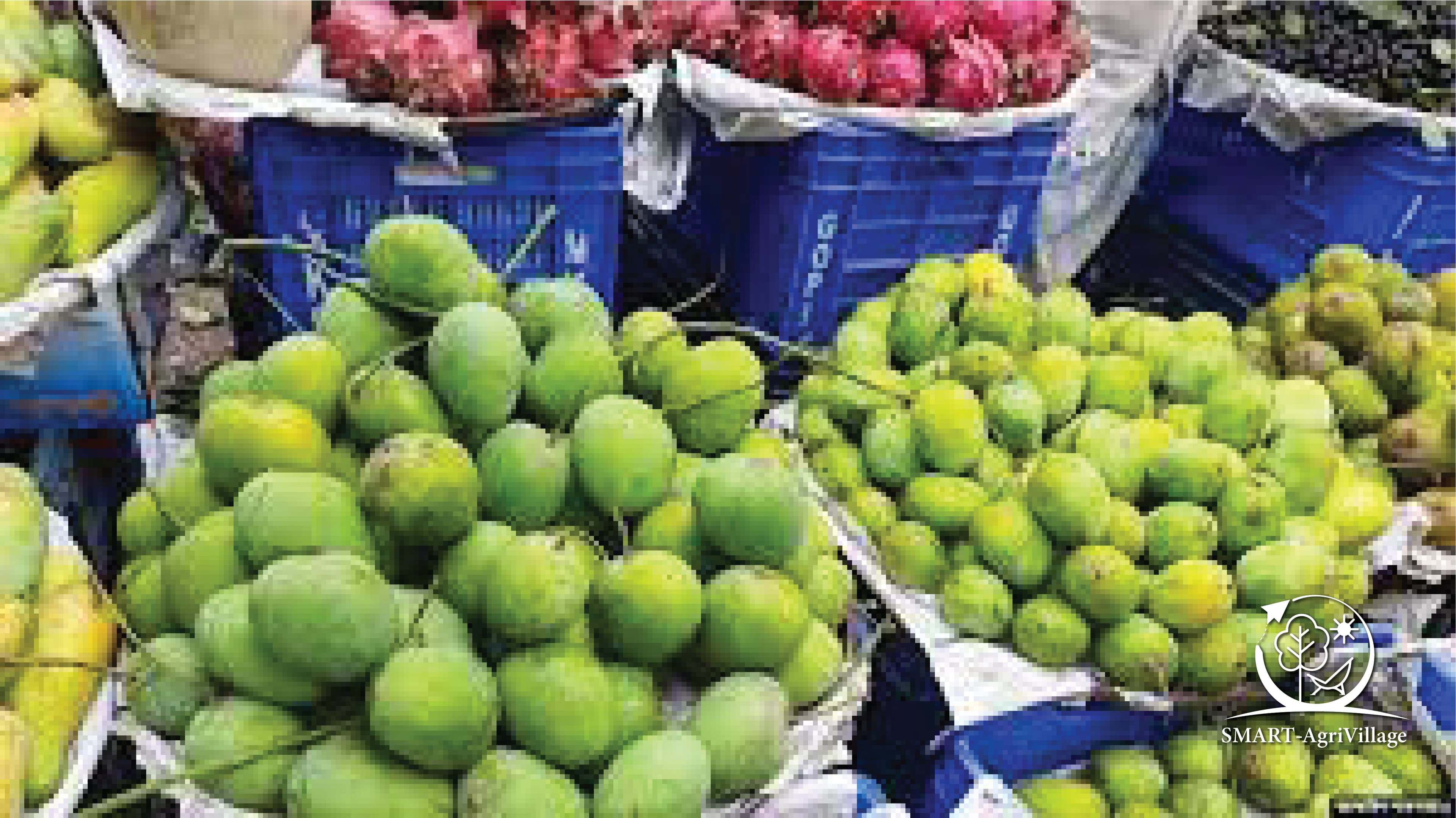 মধুমাসী উৎসব (Madhumashi Festival)