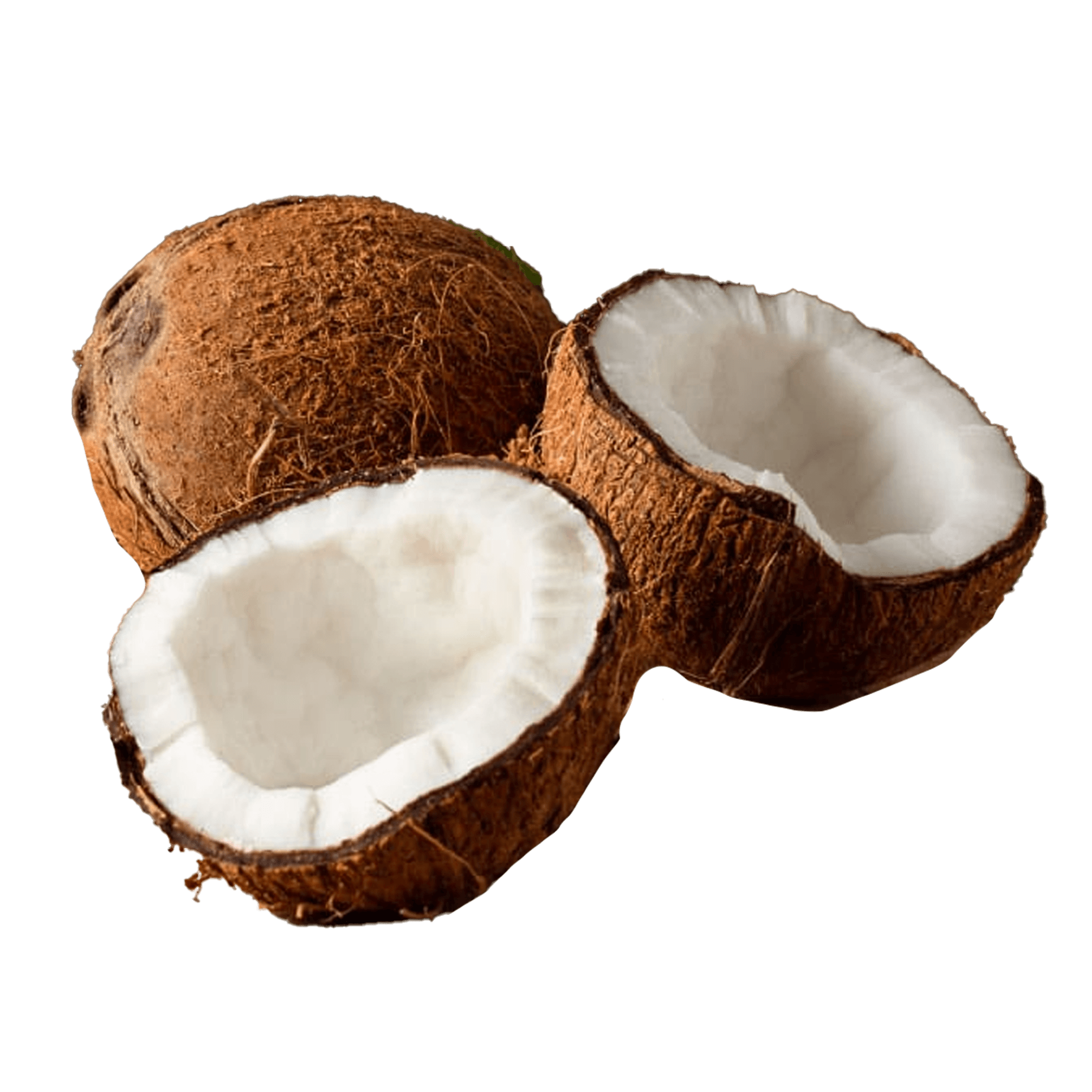 Narikel (Coconut)